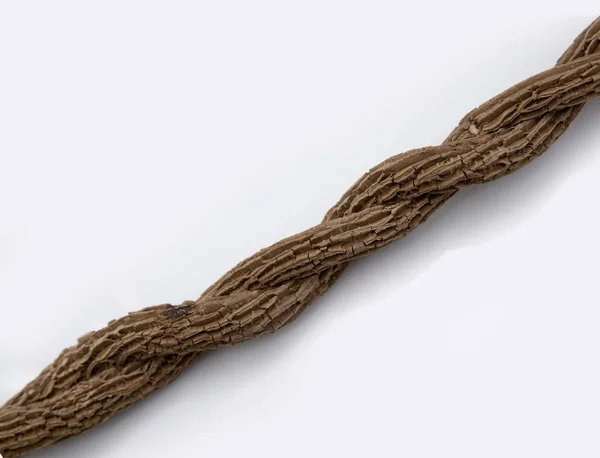 Suchý ivy větvičku jako lano tvar — Stock fotografie