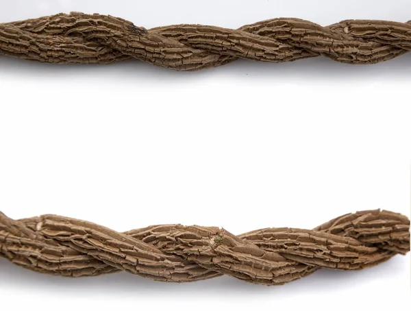 Galho hera seca como forma de corda — Fotografia de Stock