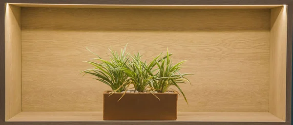 Planta em assar decoração cray — Fotografia de Stock