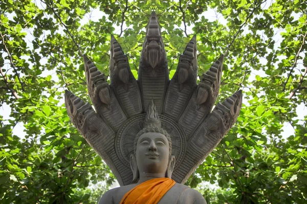 Postava, Buddha s gardian Kobra — Stock fotografie