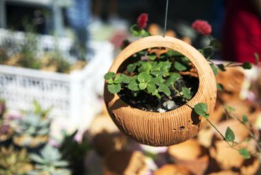 fırında cray nane yaprağı