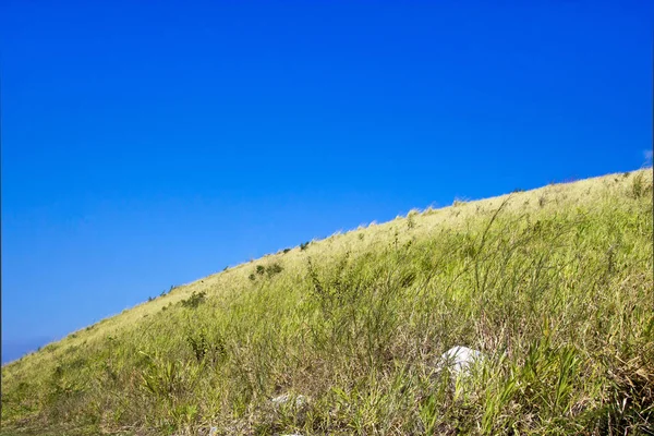 Paisaje campo verde en verano cielo claro —  Fotos de Stock