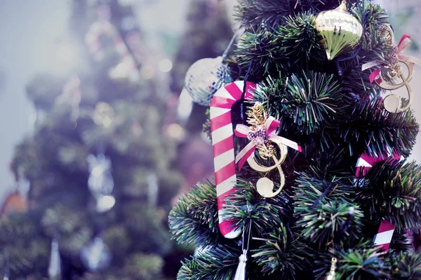 Pino de decoración en Navidad — Foto de Stock