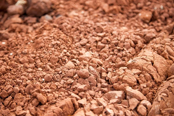 Red soil surface with drying and crack — Stock Photo, Image