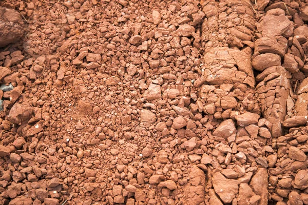 Surface of drying red soil — Stock Photo, Image