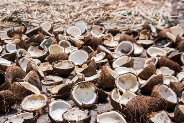Dry Coconut Burn Make Coconut Milk Oil — Stock Photo, Image