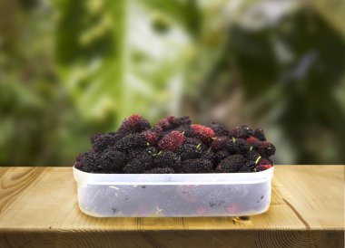 ahşap masa ve bulanıklık Bahçe arka plan üzerinde plastik kutu dut grubudur. Dut bu sağlık için superfruit.