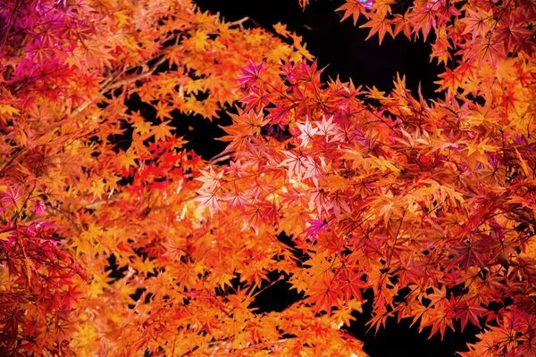 Искусственное украшение апельсиновых сухих листьев осенью — стоковое фото