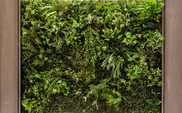 Vertical green garden for background — Stock Photo, Image