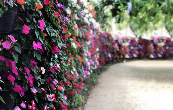 Hermoso jardín de flores con camino de paseo y arco — Foto de Stock