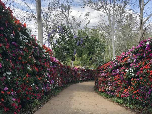 Belo jardim de flores com caminho a pé e arco — Fotografia de Stock