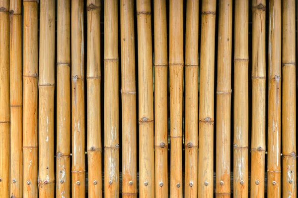 Cerca de madeira de bambu amarelo de natural — Fotografia de Stock