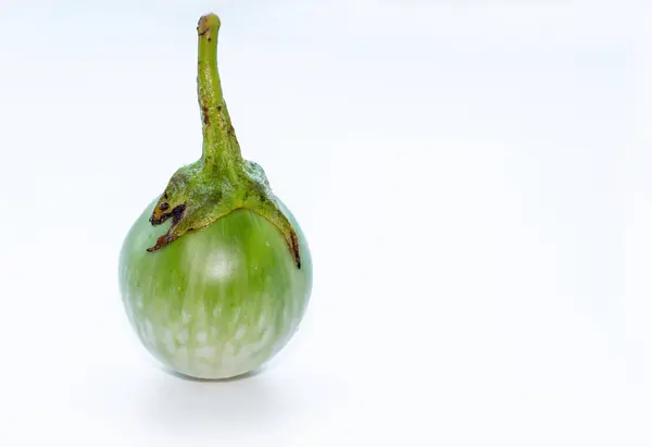 Vegetal de berinjela curta fresca em fundo isolado branco . — Fotografia de Stock