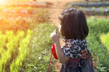 Yeşil sahada oyuncak oynayan sevimli Asyalı çocuk. Güzel açık hava aktiviteleri anı