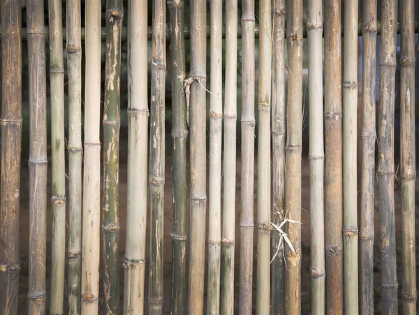 タケ木製の壁のテクスチャの背景 — ストック写真