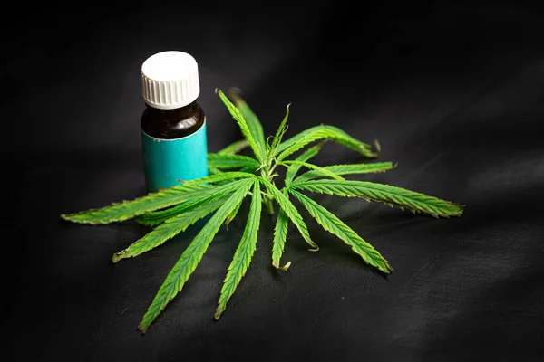 Aceite Cáñamo Hojas Cannabis Colocadas Sobre Fondo Oscuro Conceptos Médicos — Foto de Stock