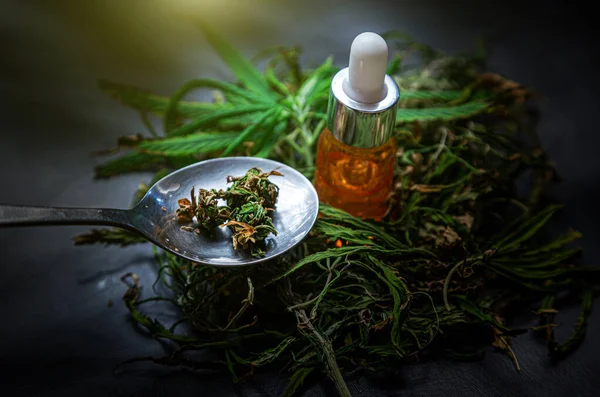 Óleo Cânhamo Folhas Cannabis Colocados Fundo Escuro Conceitos Médicos Medicina — Fotografia de Stock