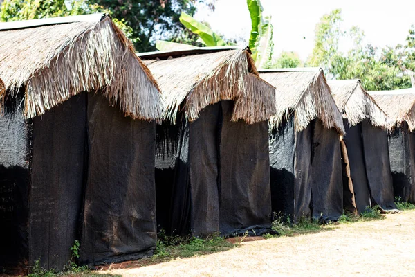 Cabana Cogumelos Fazenda Agrícola Campo Para Manter Umidade Dentro Com — Fotografia de Stock