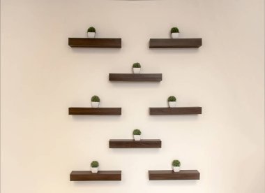 Ahşap rafta bitki çalısı olan soyut dekorasyon duvarı. 