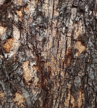 Eski ahşap çatalı dokuyu kapat