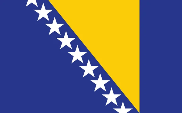Bosna-Hersek bayrak vektör grafiği. Dikdörtgen Boşnak bayrağı çizimi. Bosna-Hersek ülke bayrağı özgürlük, vatanseverlik ve bağımsızlığın bir simgesi.