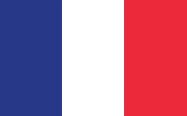 Grafika Wektora Flagi Francji Prostokątna Ilustracja Francuskiej Flagi Flaga Francji — Wektor stockowy