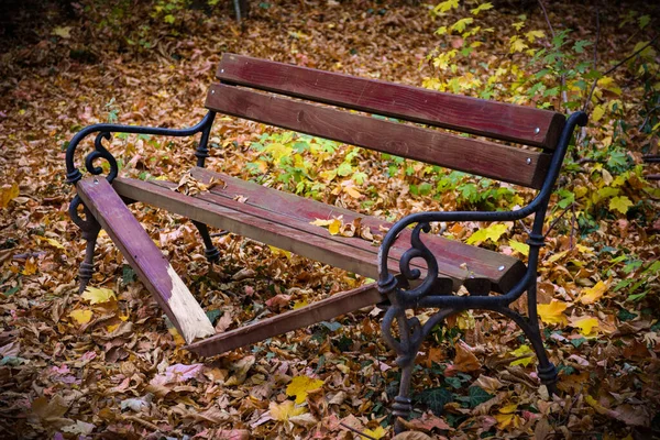 Vandallar eğlence parkındaki bir banka zarar verdiler. Kırık ahşap bank, arka planda sonbahar yaprakları.