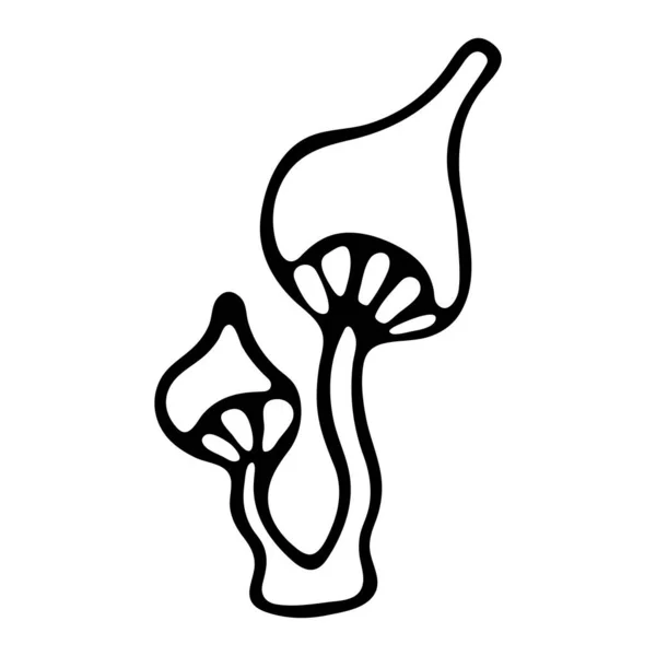 Vector hand-drawn illustration of mushroom on an isolated white background, black outline. Nature, flora,mushroom, black and white Doodle.Hand painted design for web, leaflets. hand drawnt — Stock Vector