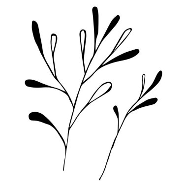 Bir tarla bitkisinin vektör çizimi, Doodle tarzında Botanik bir element. İzole edilmiş beyaz bir arka planda siyah bir çizgi. Kitaplar, kağıt, kumaş, kartpostallar, afişler için kullanılabilir