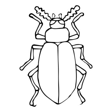 Doodle tarzında bir böcek-böceğin vektör çizimi, izole edilmiş beyaz bir arkaplanda siyah bir çizgi. Kitaplar, duvar kağıtları, kartpostallar, afişler, kumaşlar, tekstil için kullanılabilir.