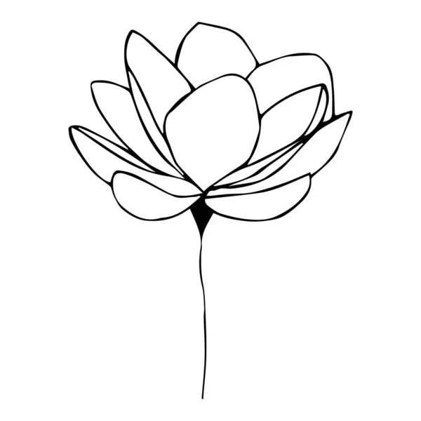 Een verzameling illustraties voor het tekenen van een lotus. Voor het ontwerpen van tekeningen, logo 's, sjablonen, spandoeken, posters, uitnodigingen en wenskaarten.Zwarte omtrek in Doodle stijl op een geïsoleerd wit — Stockvector