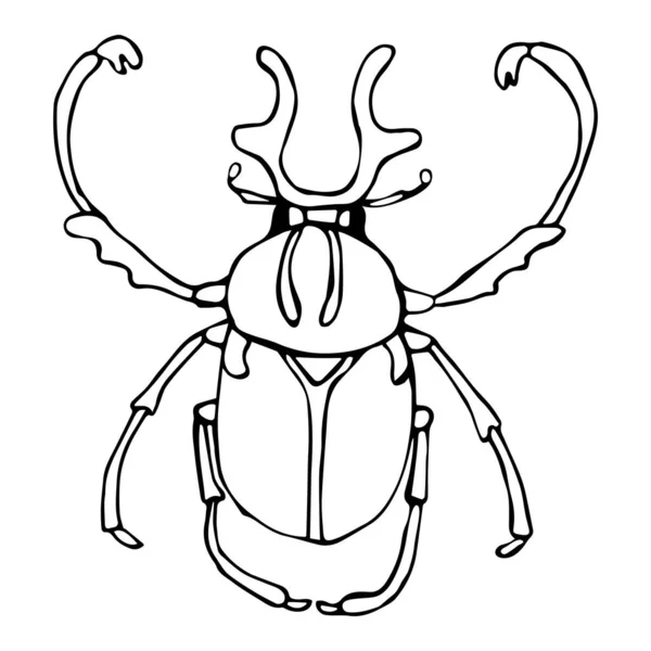 Illustrazione vettoriale di un insetto-coleottero in stile Doodle, contorno nero su uno sfondo bianco isolato. Può essere utilizzato per libri, sfondi, cartoline, striscioni, tessuti, tessuti — Vettoriale Stock