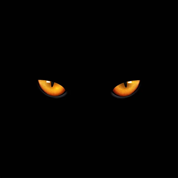 Augen Katze Auf Schwarzem Hintergrund Vektor Und Illustration — Stockvektor