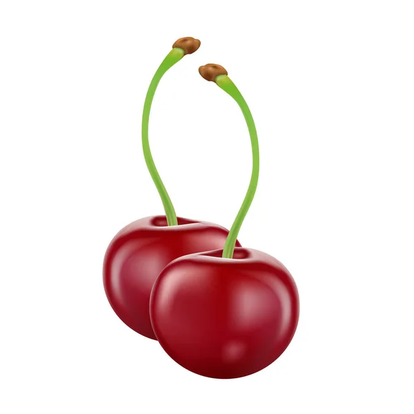 Cherry Diisolasi Pada Latar Belakang Putih Vektor Ilustrasi - Stok Vektor