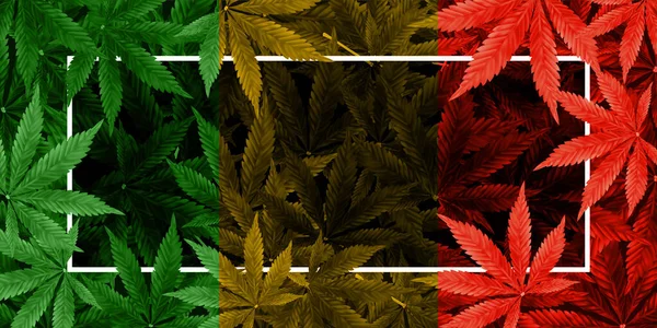 Marihuana Cannabis Leaf Achtergrond Realistische Vectorillustratie Van Plant Bovenaanzicht — Stockvector