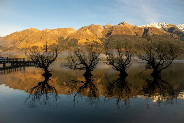 Boom Berg Reflecties Bij Dageraad Vroege Ochtend Mist — Stockfoto