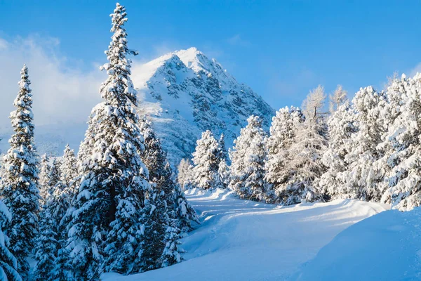 下雪的冬天在山上 — 图库照片
