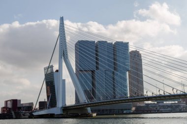 Erasmus Köprüsü. Rotterdam. Hollanda.