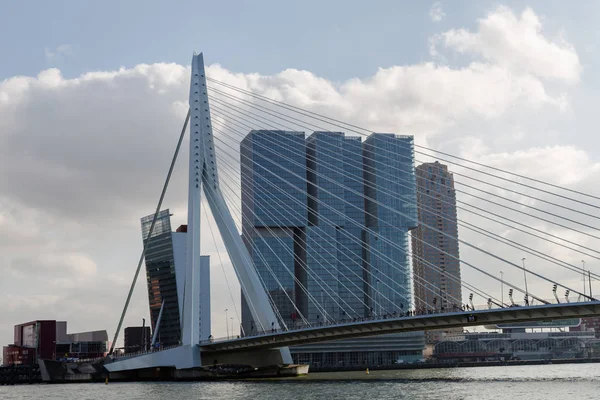 Erasmus bro. Rotterdam. Nederland . – stockfoto