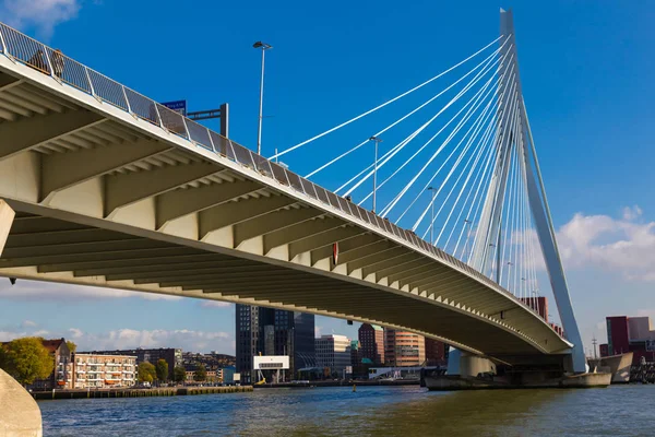 Ponte Erasmus. Roterdão. Países Baixos . — Fotografia de Stock