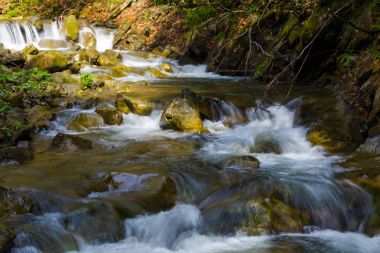 Dağ nehir hızlı, Karpatlar, Ukrayna'da bahar
