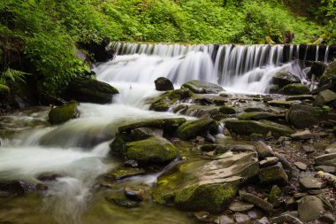 Hızlı dağ nehir. Ukrayna
