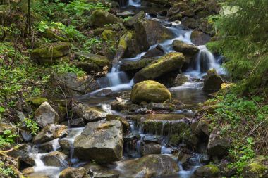 Hızlı dağ nehir, sammer Karpatlar, Ukrayna
