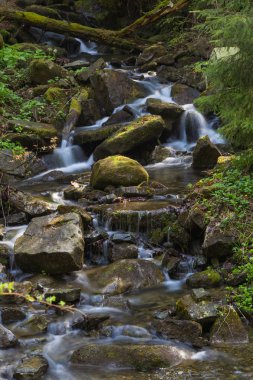 Dağ nehir hızlı, Karpatlar, Ukrayna'da bahar