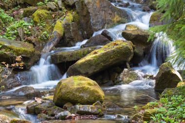 Dağ nehir hızlı, Karpatlar, Ukrayna'da bahar
