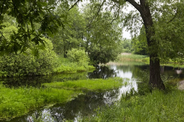 Tiché Lesní řeky. Uday řeka. Piryatin. Ukrajina — Stock fotografie