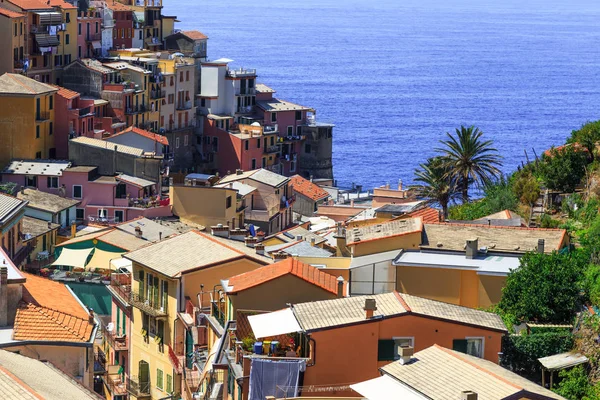 古老的城市 Manarola，国家公园五渔村意大利 — 图库照片