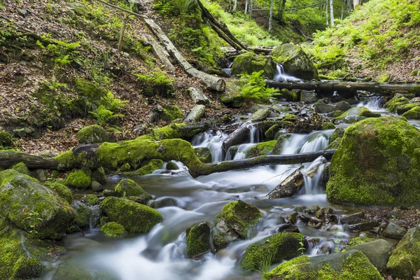 Rychlá horská řeka, která teče mezi mechem kameny — Stock fotografie