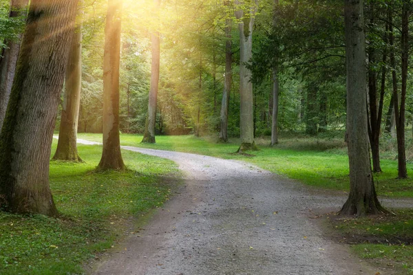 Gamla parken Schoenbusch, Aschaffenburg, Tyskland — Stockfoto