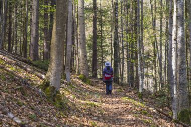 Kadın atletik t hiking orman yürüyüş meşgul